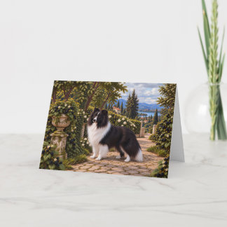 Cartão Amoras, Cão de Pastoreio de Shetland