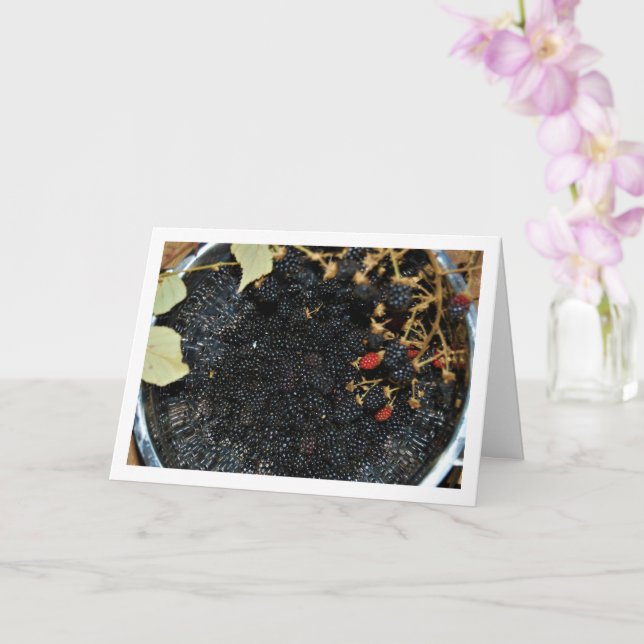 Cartão Amoras Negras no Colander (Orquídea)