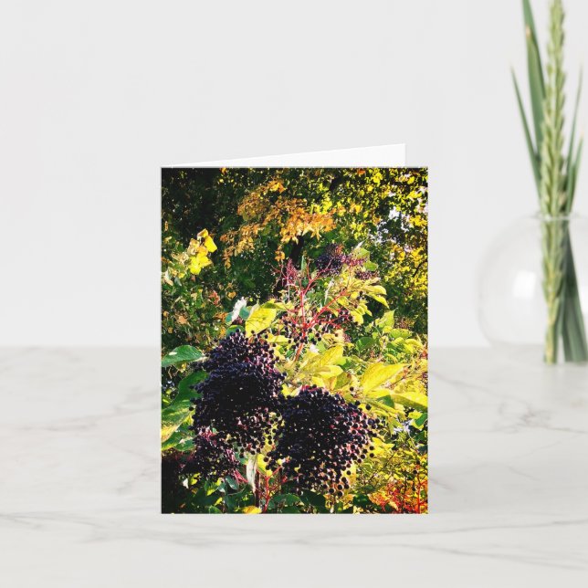 Cartão Amoras pretas (Frente)