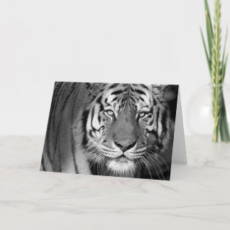 Cartão Amur Tiger #1-Greeting card