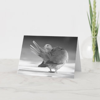 Cartão An angel in the sky I Card