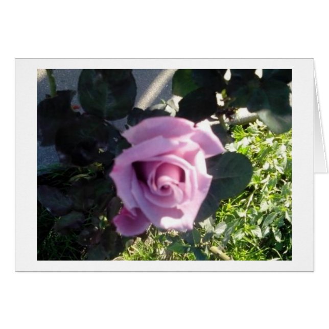 Cartão Ana Rosa (Frente Horizontal)