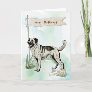 Cartão Anatólia Shepherd Breed Dog Sob Sinal De Aniversár