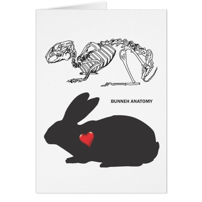 Cartão Anatomia do coelho (Frente)