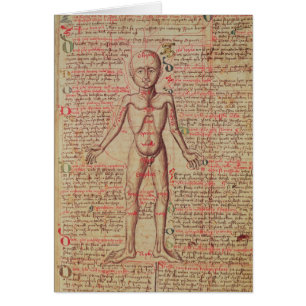 Cartão Anatomia do corpo humano