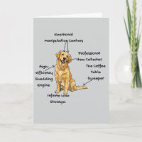 Anatomia Personalizada de um Golden Retriever