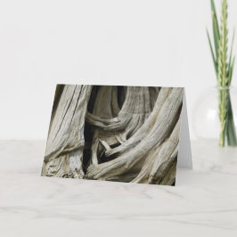 Cartão Ancient Tree Heart Card