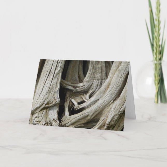 Cartão Ancient Tree Heart Card (Frente)