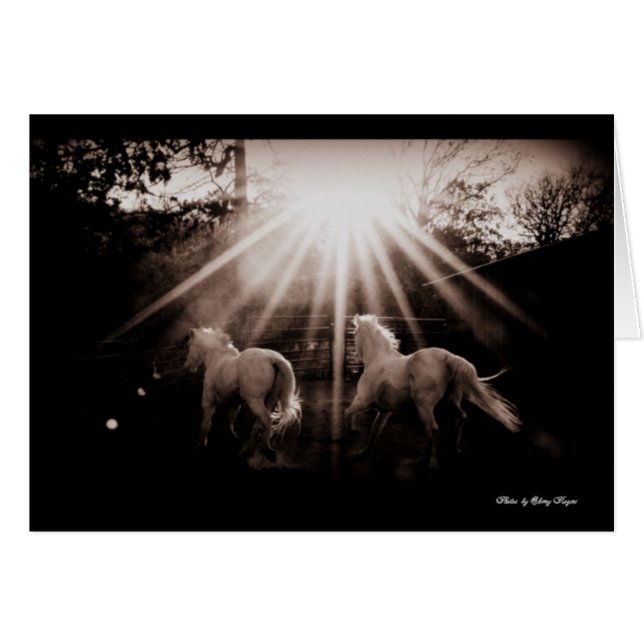 Cartão Andalusian Run~ do ~Run (Frente Horizontal)