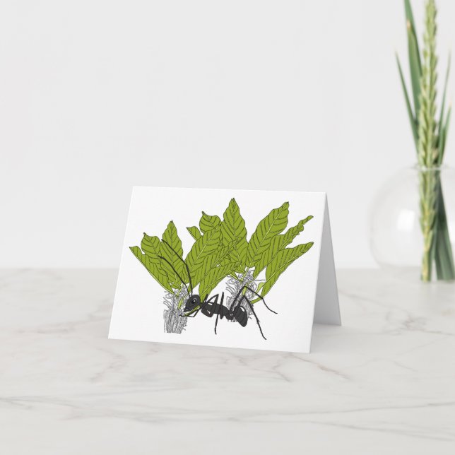 Cartão Andrew, a formiga (Frente)