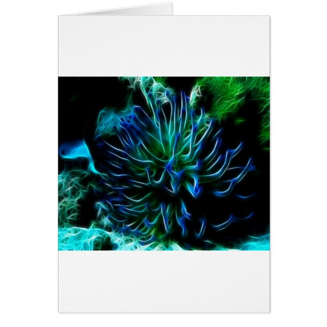 Cartão anêmona de mar gigante (Frente)