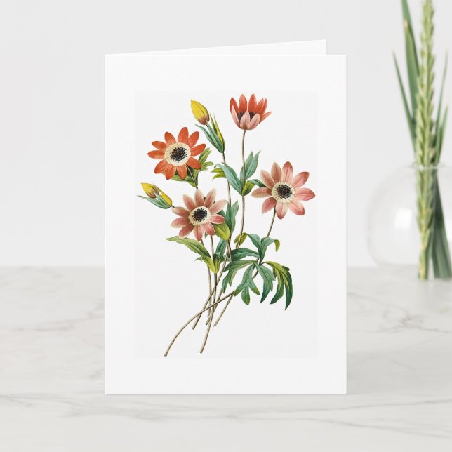 Cartão Anemone Birthday Greeting Card (Frente)