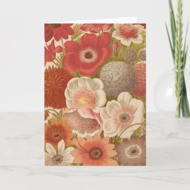Cartão Anemone | George Nicholson (Frente)