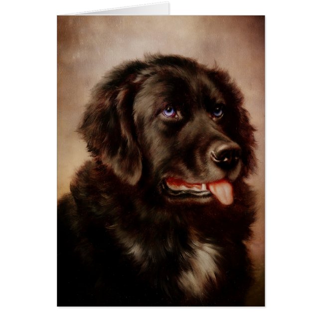 Cartão Anexo Canino (Frente)