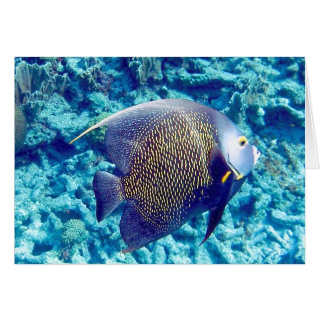 Cartão Angel (Frente Horizontal)