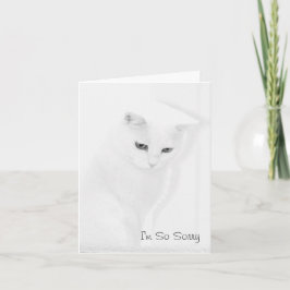 Cartão Angel Cat Sympathy Card