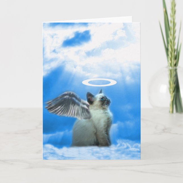 Cartão Angel Kitten Blank Note Card (Frente)