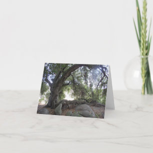 Cartão Angel Lights