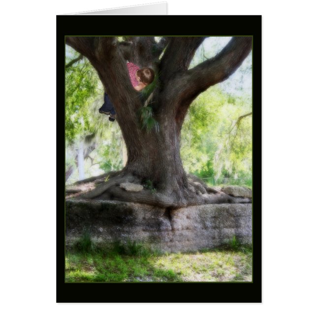 Cartão Angel Oak (Frente)