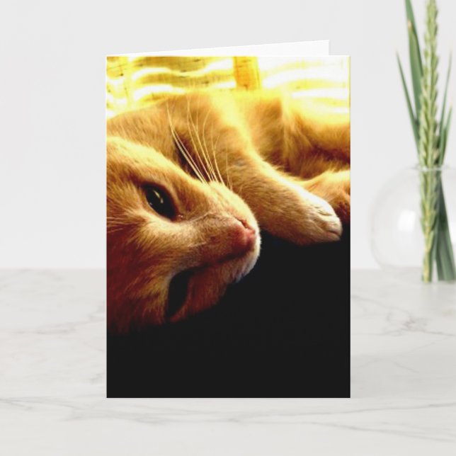 Cartão Angel's Eyes (Frente)