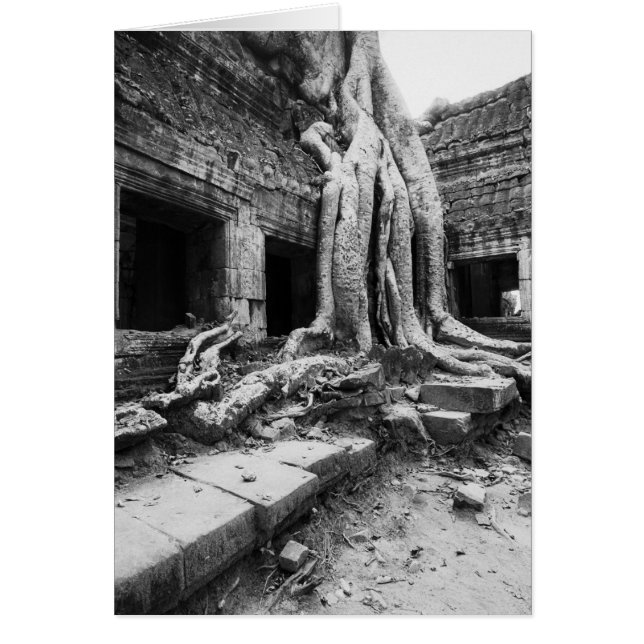 Cartão Angkor Camboja, Ta Prohm Tree (Frente)