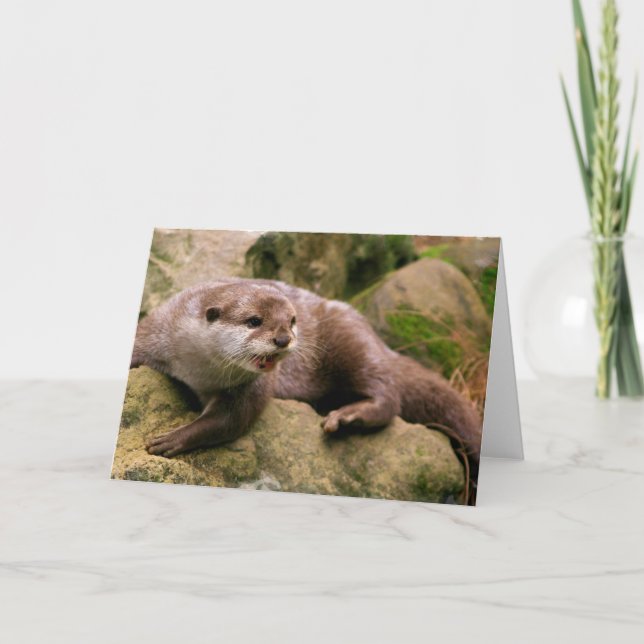 Cartão Angry Otter Greeting Cards (Frente)