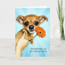 Cartão Animação - Cartoon Chihuahua Puppy