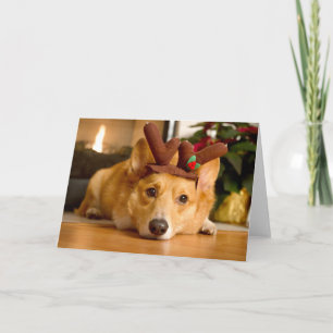 Cartão Animais Bebês Mais Fofos Rena de Natal Corgi