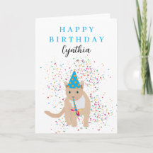 Animais de Gato Engraçados Tendo um Aniversário de