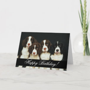 Cartão Animais Domesticados 252 Feliz Aniversário
