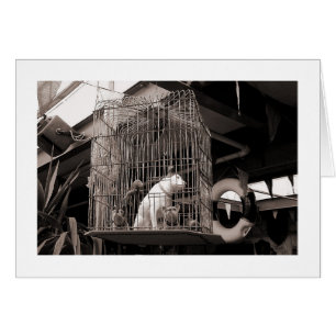 Cartão Animais Enjaulados