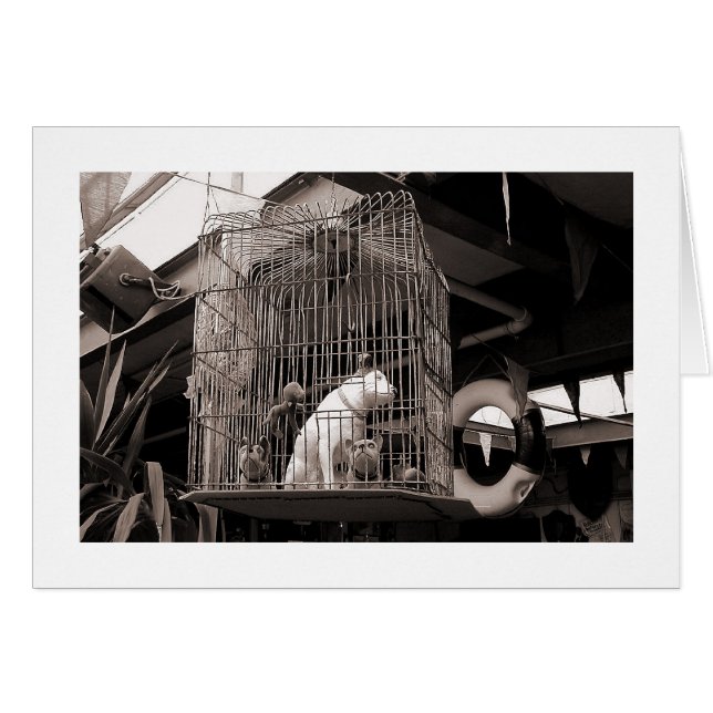 Cartão Animais Enjaulados (Frente Horizontal)