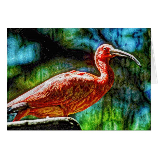 Cartão Animal04 (Frente Horizontal)