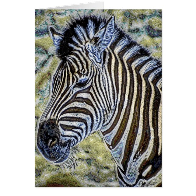 Cartão Animal36 (Frente)