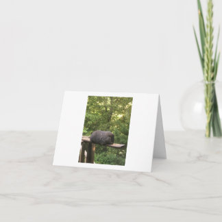 Cartão animal bonito para alguém que você se