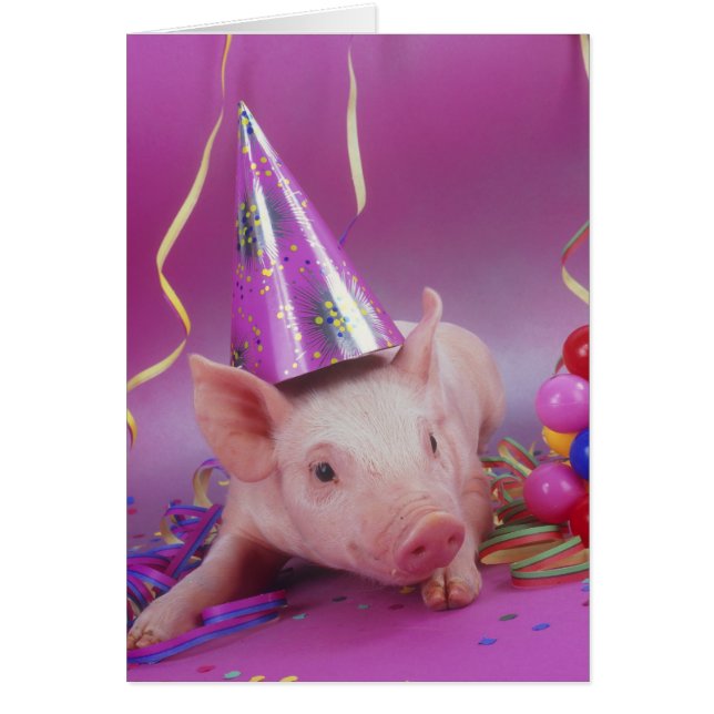 Cartão Animal de festa! (Frente)