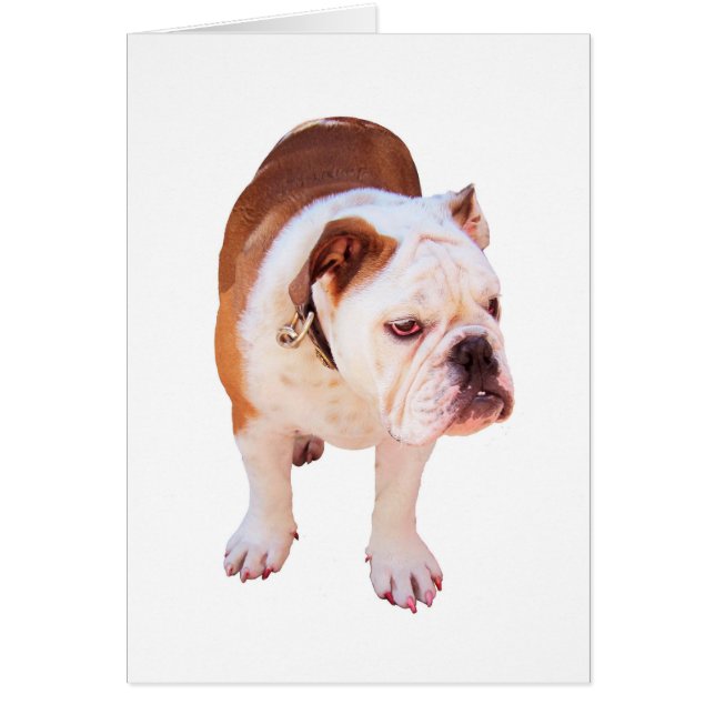 Cartão Animal de partido (Frente)