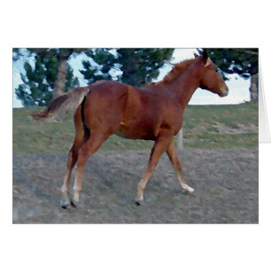 Cartão Animal de um ano da azeda