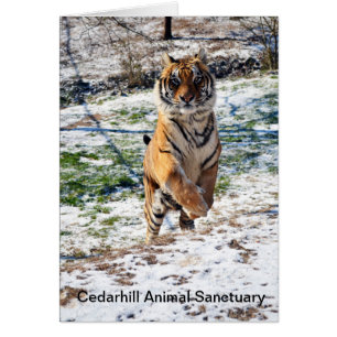 Cartão animal do santuário de Cedarhill