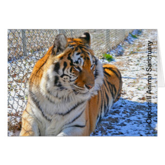 Cartão animal do santuário de Cedarhill