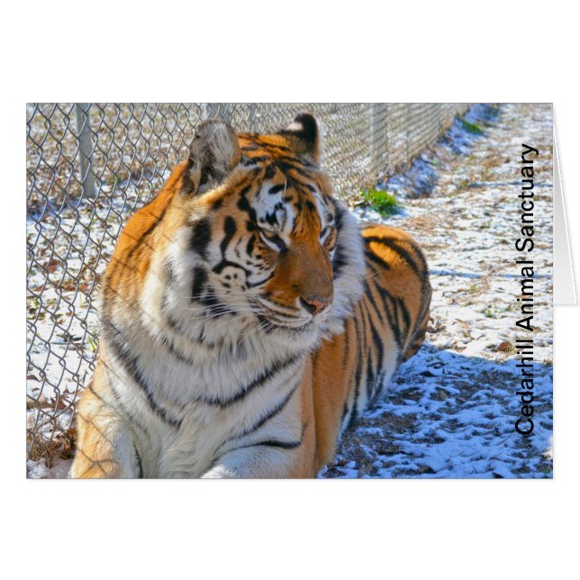 Cartão animal do santuário de Cedarhill (Frente Horizontal)