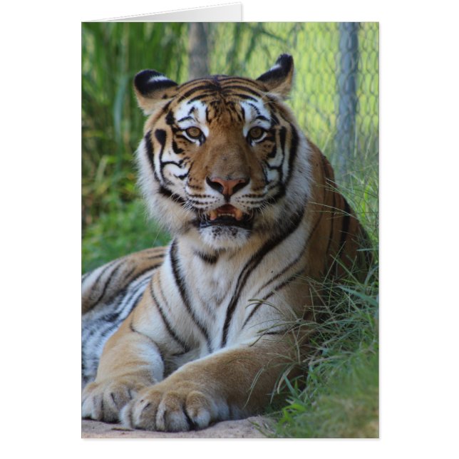 Cartão animal do santuário de Cedarhill (Frente)