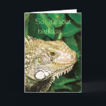 Cartão Animal funny birthday humor<br><div class="desc">Funny birthday cards for animal, Reptile and iguana lover, featuring a close up view of a green iguana, with the words "So, it's your birthday" on the front and "Cool... ..where's the cake?" on the inside. CUSTOMIZE IT: Add your own personal message or captions to the products, to make it...</div>