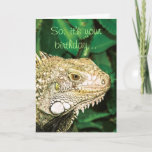 Cartão Animal funny birthday humor<br><div class="desc">Funny birthday cards for animal, Reptile and iguana lover, featuring a close up view of a green iguana, with the words "So, it's your birthday" on the front and "Cool... ..where's the cake?" on the inside. CUSTOMIZE IT: Add your own personal message or captions to the products, to make it...</div>