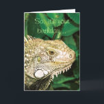 Cartão Animal funny birthday humor<br><div class="desc">Funny birthday cards for animal, Reptile and iguana lover, featuring a close up view of a green iguana, with the words "So, it's your birthday" on the front and "Cool... ..where's the cake?" on the inside. CUSTOMIZE IT: Add your own personal message or captions to the products, to make it...</div>