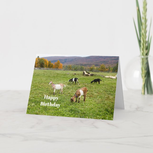 Cartão Animal Goats Pasture Vermont Foto Birthday (Frente)