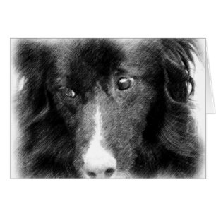 Cartão animal preto da arte de border collie