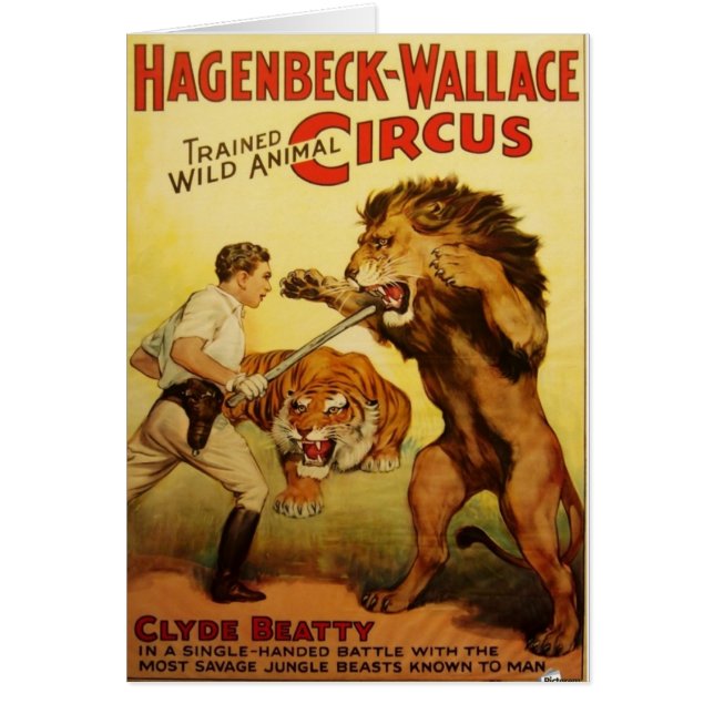 Cartão Animal selvagem mais doméstico (Frente)