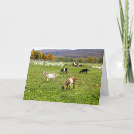Cartão Animals Goats Pasture Vermont Photo Sympathy