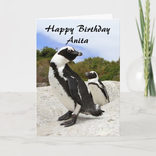 Cartão Anita Happy Birthday African Penguins Humor Card (Frente)